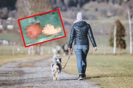 
			Hund in Dortmund: Vorsicht, wenn du HIER mit deinem Vierbeiner spazieren gehst – Gefahr!