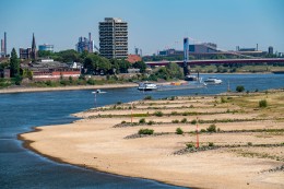 
			NRW: Immer weniger Wasser im Rhein – plötzlich taucht DAS auf